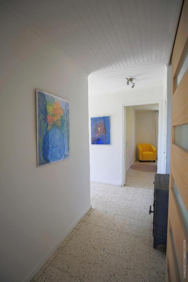 Maison Dans Les Arbres, Spa, Tennis, Parking Nimes Ngoại thất bức ảnh